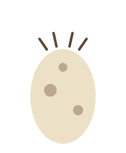A speckled hedgehog egg, waiting for your first step